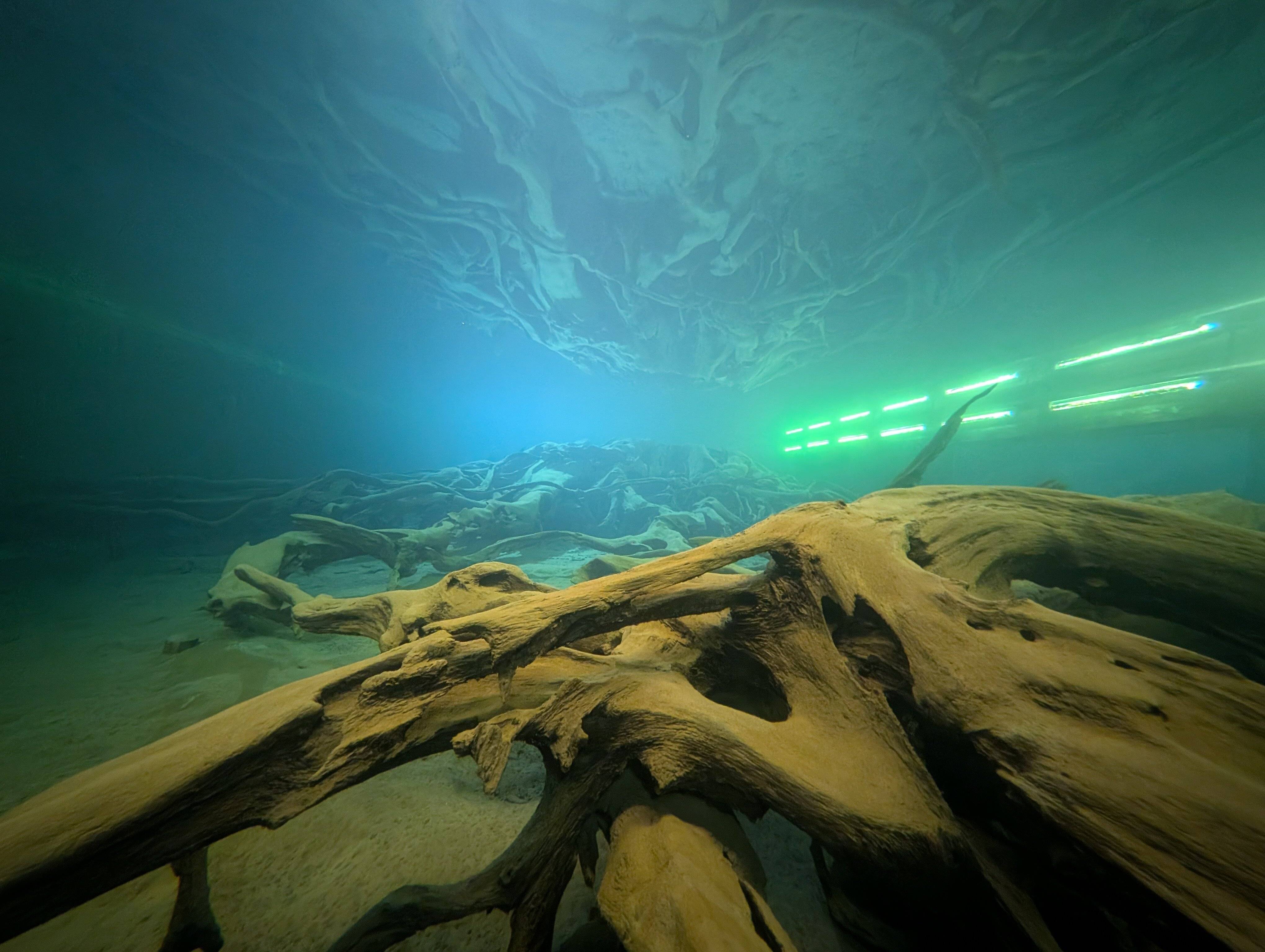 🌲 우오즈 매몰림 박물관(우오즈 마이보츠린 하쿠부츠칸) 이미지 6